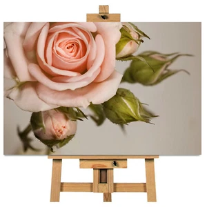 Cuadro en lienzo rosa gris fondo listo para colgar arte de pared - Imagen 1 de 1