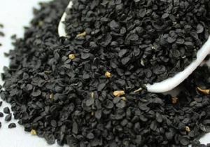 2025 USA Garlic Chives Seeds, Premium High Quality, Non-GMO Heirloom - Picture 1 of 8