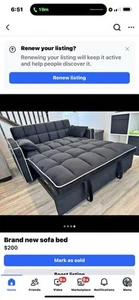 Pullout Sofa Bed - Picture 1 of 4