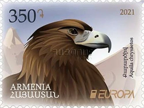 Armenia 2021 MNH** Mi 1200 Europa Golden Eagle pájaro libro rojo vida silvestre en peligro de extinción Foto 1 de 1