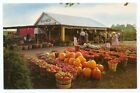 Clinton NJ Tony's Farm Fruit Produce Stand Postcard ~ New Jersey