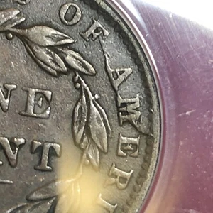 1838 large cent N.10 ANACS VF30 Late Die State - Picture 1 of 13