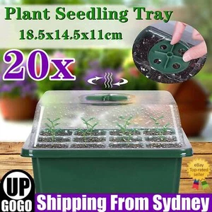 20 Sets 12 Hole Plant Seeds Grow Box Propagation Nursery Seedling Starter Tray A - Picture 1 of 12