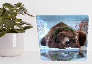 Paperproducts Bear Reflected Square Plate Two Can Art Design Nature Inspired - Picture 1 of 6