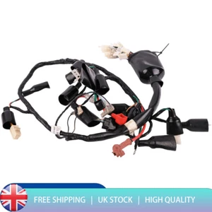 Main Wiring Loom Harness For Sinnis Apache, Pulse/Lexmoto Adrenaline, RMR 125 UK - Picture 1 of 6