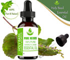 Pure Herbs Basilic Sacré 100% Naturel Ocimum tenuiflorum Huile Essentielle