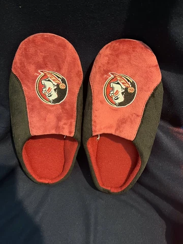 FLORIDA STATE UNIVERSITY “SEMINOLES” ADULT SLIPPERS Cover