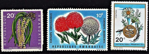 MNH  3 STAMPS " BLOSSOMS, MEDICAL HERBS AND NATIVE FLORA " Rwanda 1968 - 72 Cover