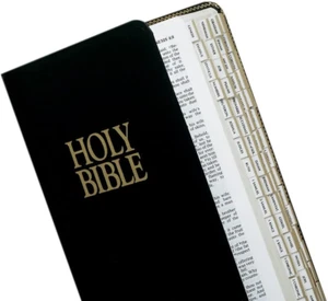 Mini Gold-Edged Bible Indexing Tabs, Old & New Testament, 80 Tabs Including 64 B - Picture 1 of 9