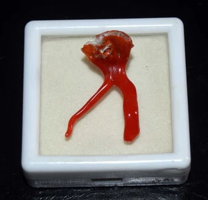 Bastoncini di corallo rosso italiano naturale, rami di pietre preziose corallo grezzo lucido 9,35 ct - Foto 1 di 3