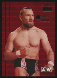 AEW Metal Universe SkyBox Premium Rubies 2022 #PP-30 Bryan Danielson 02/50 - Imagen 1 de 2