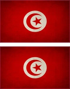 2x Sticker aufkleber Flaggen flagge fahne vintage TN tunesien - Picture 1 of 1