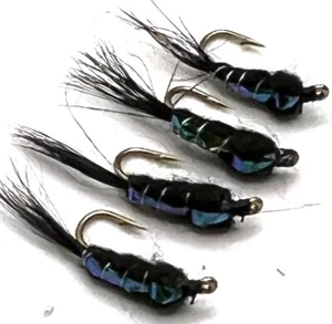 4, 6, 8 oder 12 Forellen Fliegenfischen Fliegen BLITZ ZURÜCK SCHWARZ NYMPHE STACHELIG/STACHELLOS - Bild 1 von 1