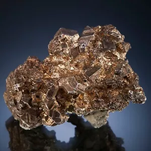 Plata, Kongsberg, Buskerud, Noruega 1301-BS1975 - Imagen 1 de 5