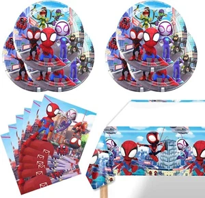 Spidey & His Amazing Friends Birthday Pack (41pc) Brand New & Sealed!! - Picture 1 of 5