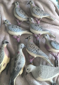 Dove Decoys Vintage Expedite Inc. 9pc Lot + Other Realistic Clip-On - Picture 1 of 11