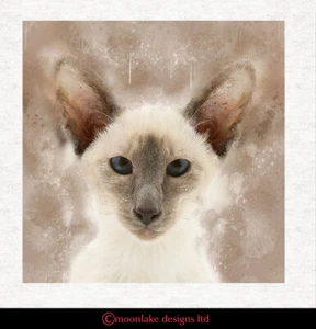 Cat-Siamese Cat style2- Fabric Craft Panels in 100% Cotton or Polyester - Picture 1 of 3