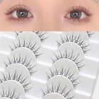 10 Pairs Natural Look Brown False Eyelashes 3D Dramatic Anime Lashes  for Women