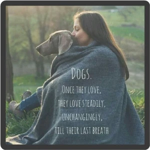 Imán para refrigerador Dogs Once They Love - Imagen 1 de 1