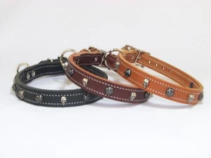 3/4" Wide Top Quality Leather Dog Collar w/ Skull and Dome Rivets   Made in USA - Picture 1 of 19