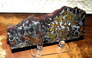 LG 682 gm SERICHO pallasite Meteorite END PIECE F/ Kenya stand olivine JAL 1.5# - Picture 1 of 9