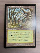 MTG Gaea's Cradle Japanese Card Japan Rare Magic The Gathering
