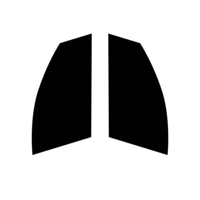 Tinte de ventana de coche precortado para Smart Forfour 2005-14 película de tinte para ventanas delanteras de coche Foto 1 de 4