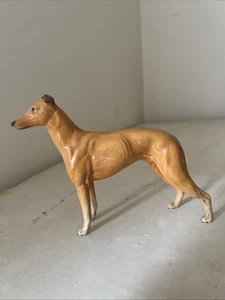 JOVIAL ROGER GLOSS BESWICK GREYHOUND - Picture 1 of 12