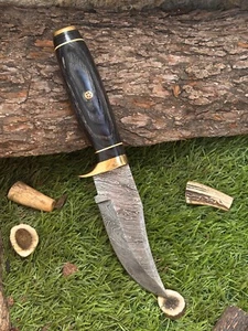 FANCY CUSTOM HANDMADE DAMASCUS STEEL FIXED BLADE SKINNER KNIFE / LEATHER SHEATH - Picture 1 of 7