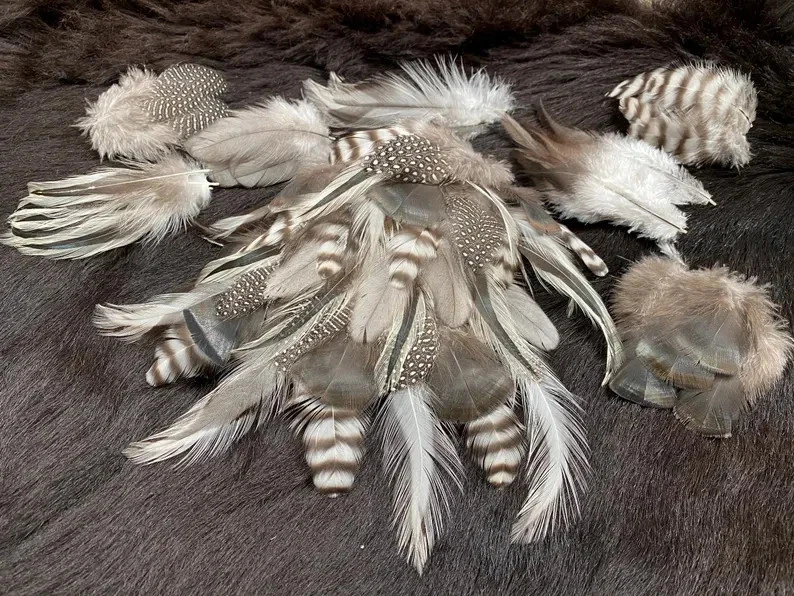 70er Federmix, 5-12cm, 7 Sorten, Bastelfedermix aus artgerechter Haltung, bunte - Bild 1 von 4