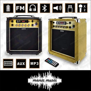 Guitar Amplifier 20W Rechargeable Bluetooth Amp USB FM Effects MP3 Mic AUX - Picture 1 of 9