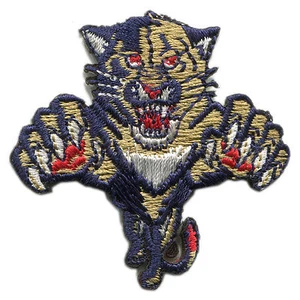 FLORIDA PANTHERS NHL HOCKEY VINTAGE 2" TEAM LOGO PATCH - Picture 1 of 1