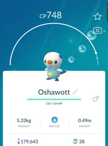 Pokemon Panpour X15 Go!! Regional Pok&eacute;mon Go Trade | 15x Panpour Trade Go