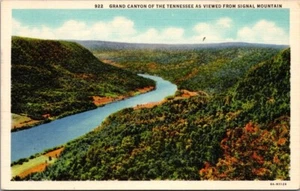 Postal de lino del Gran Cañón de la Tennessee de Signal Mountain - Imagen 1 de 2