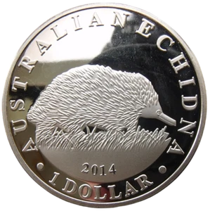 ASHMORE AND CARTIER - AUSTRALIA 1 DOLLAR 2014 AUSTRALIAN ECHIDNA 40mm PROOFLIKE - Picture 1 of 2