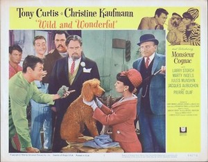 TONY CURTIS, Wild & Wonderful (‘64) Lobby Card #7, Christine Kaufmann, poodle