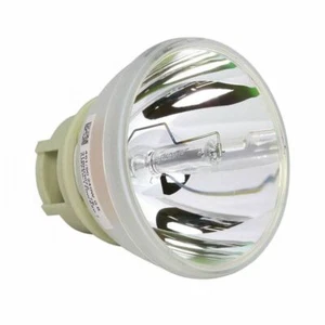 BenQ 5J.JEA05.001 Philips Projector Bare Lamp - Imagen 1 de 5