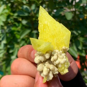 56G Beautiful Minerals ** LARGE NATIVE SULPHUR OnMATRIX Sicily- FREE - Picture 1 of 16