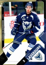 Mathieu Laverdure 2013-14 Sherbrooke Phoenix
