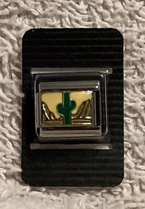 NIP Cactus And Desert 9mm Italian Modular Link Charm for bracelet - Picture 1 of 9