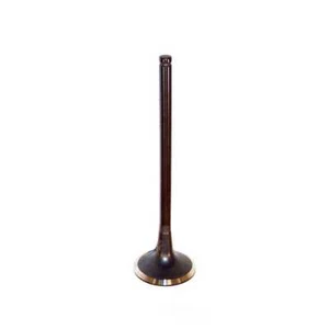 Engine Exhaust Valve fits 2006-2015 Kia Sedona Sorento Amanti,Sorento DNJ ENGIN - Picture 1 of 1