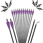 12pc Archery 30.7" Carbon Arrows SP350 / Broadheads Compound/Recurve Bow Hunting