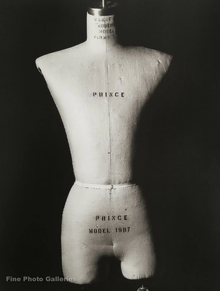 1991 年复古杜米王子身体 Herb Ritts 艺术家音乐舞蹈照片艺术 16x20 — 第 1/1 张图片