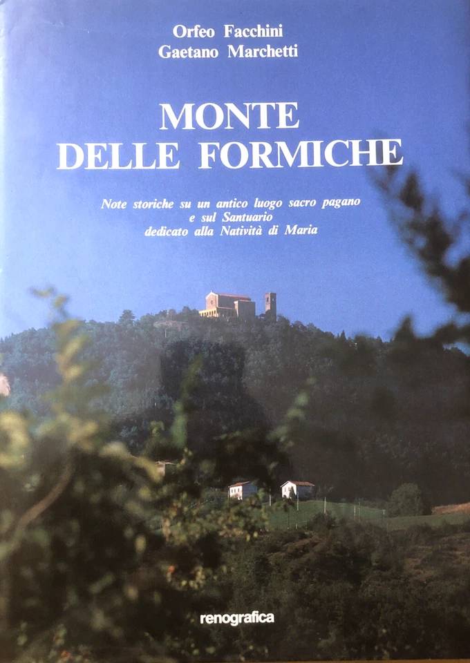 Monte delle Formiche (Bologna ) Orfeo Facchini, G. Marchetti. Renografica 1990 - Immagine 1 di 1