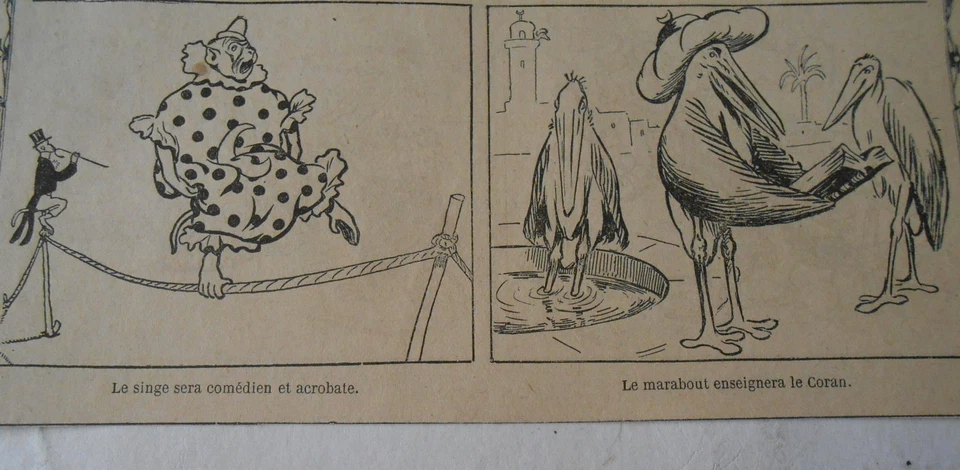 Humour Singe comédiene t acrobate Marabout enseigne le Coran Image Print 1906 - Photo 1/1
