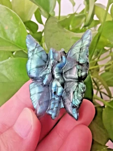 2" Labradorite farfalla fata teschio cristallo intagliato a mano Reiki guarigione 1pz - Foto 1 di 8