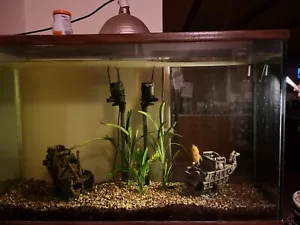 100 gallon Fish Tank and Stand - Picture 1 of 2