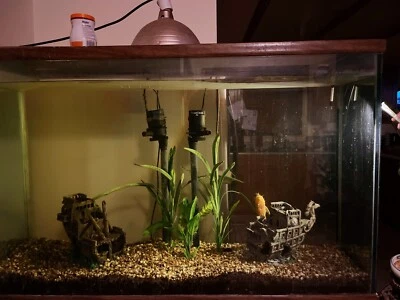 Pecera y soporte de 100 galones Foto 1 de 2