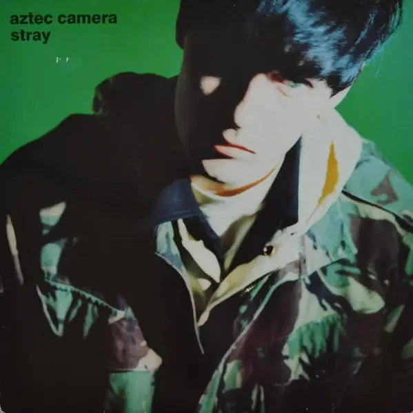 Aztec Camera Stray NEAR MINT WEA Vinyl LP - Bild 1 von 1