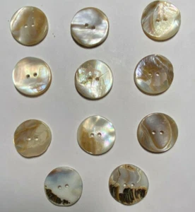 VERY RARE NATURAL/BROWN WASHIBODO SHELL BUTTON 11mm 15mm 20mm 23mm 25mm - Picture 1 of 20